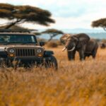 Mount Kilimanjaro Trekking Guide for Beginners