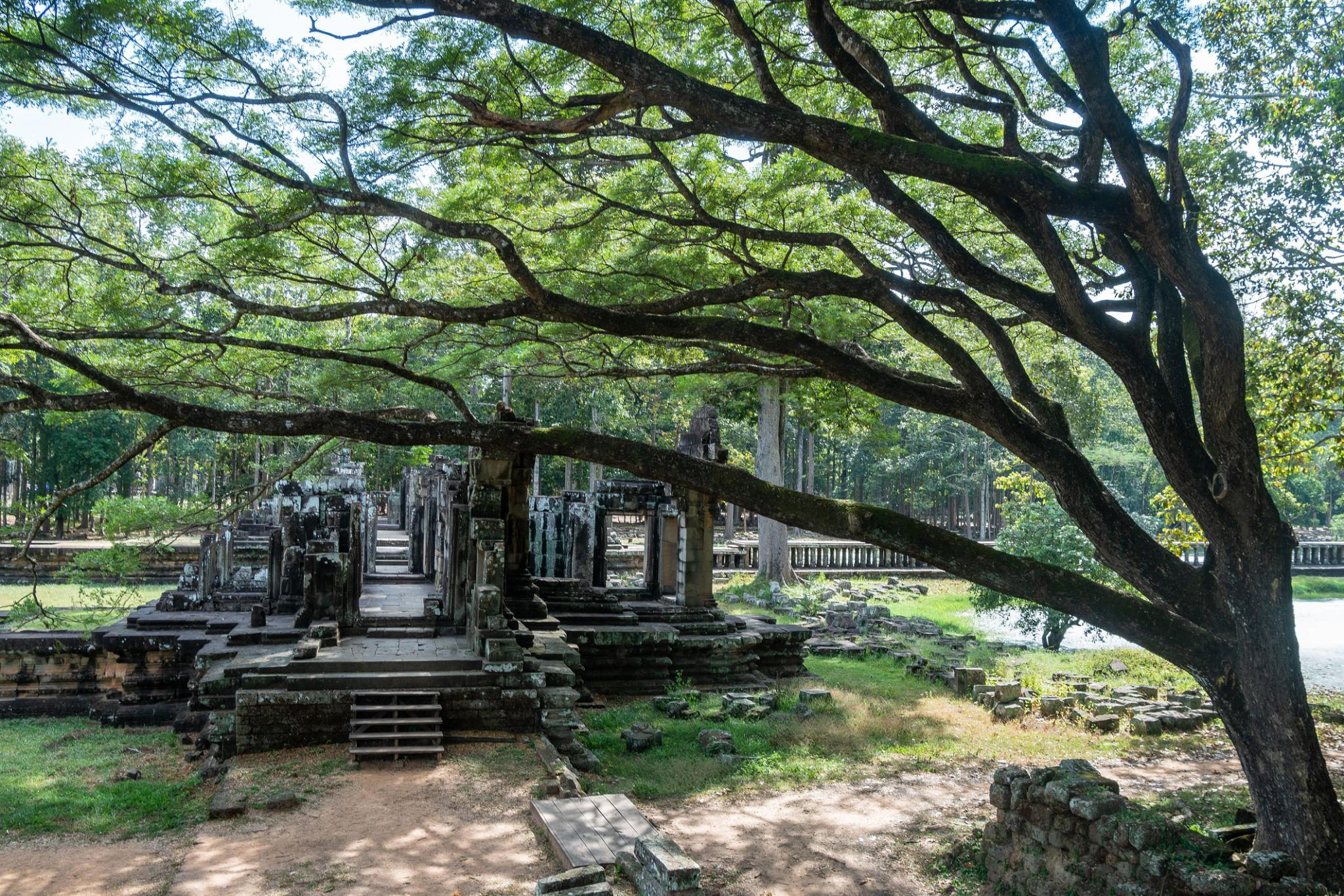Angkor Thom – The Lost City