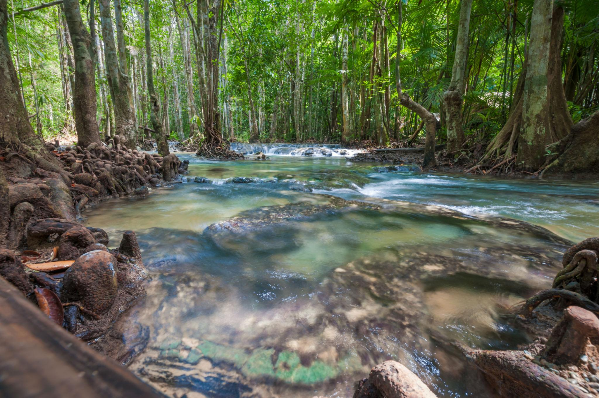  Ubud – Culture, Nature & Peace