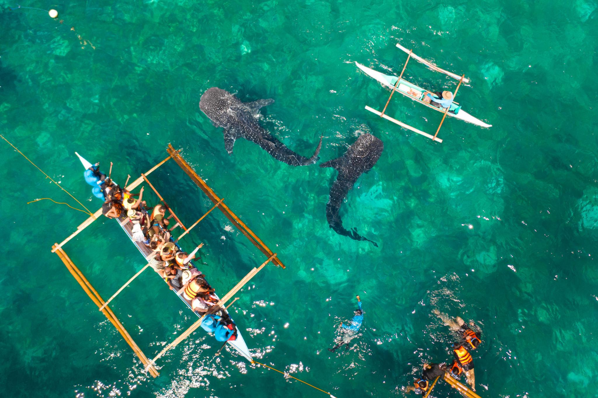 Palawan – The Most Beautiful Island in the Philippines