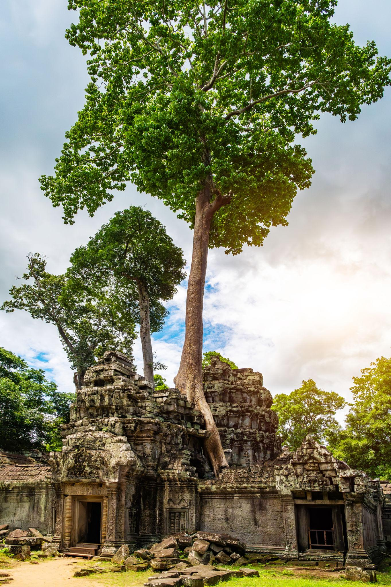 Ta Prohm – The Jungle Temple