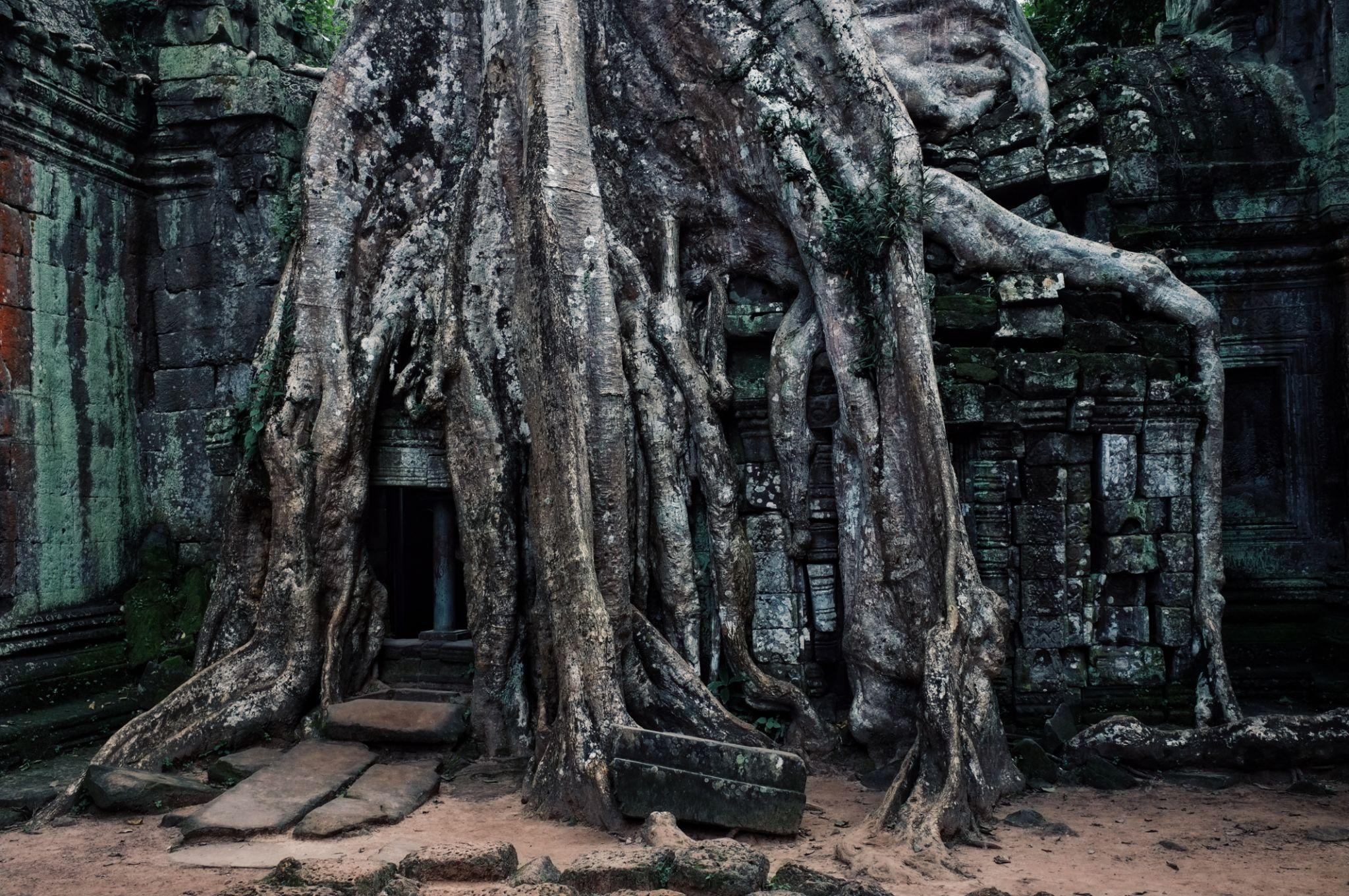 Ta Prohm – The Jungle Temple