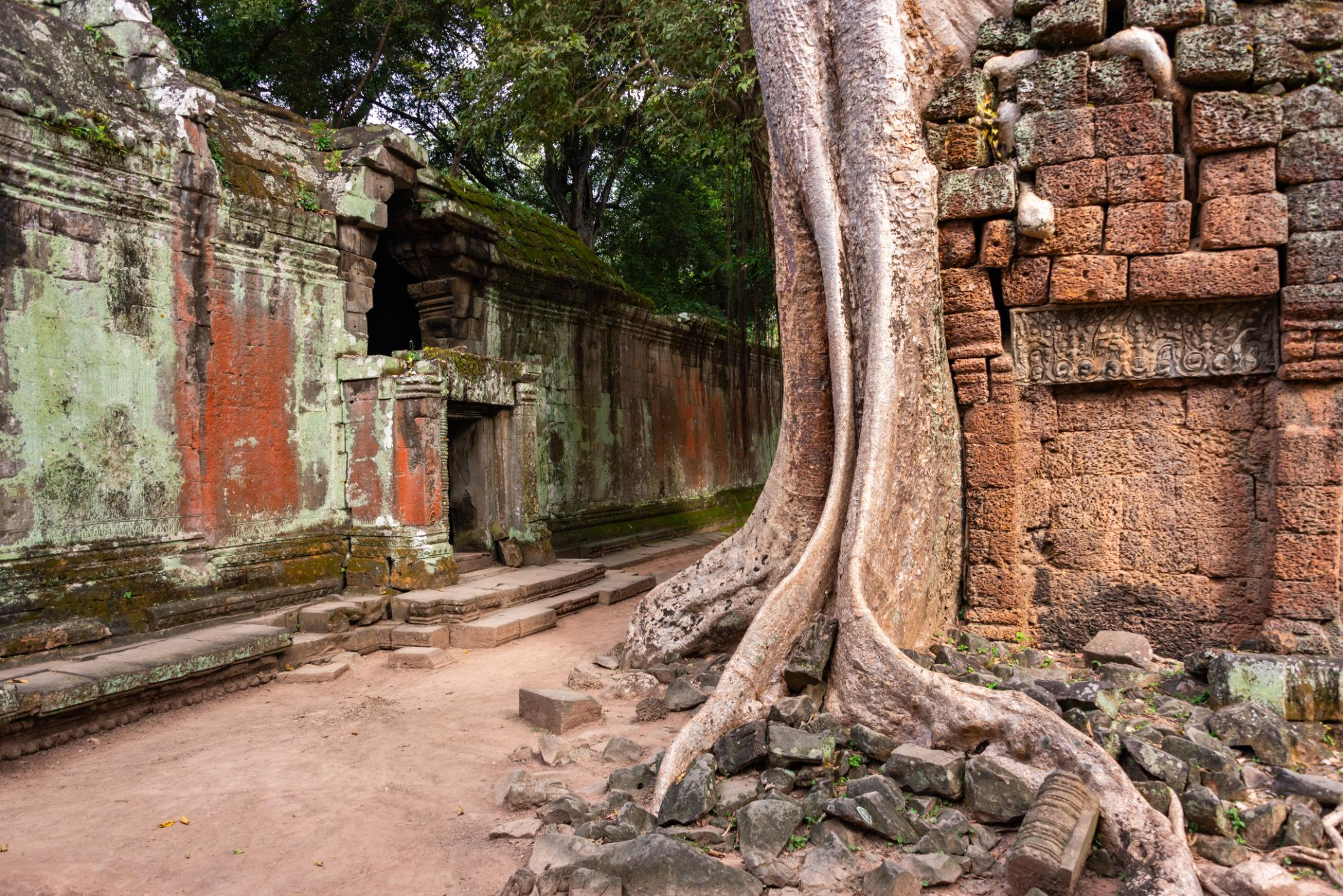 Ta Prohm – The Jungle Temple