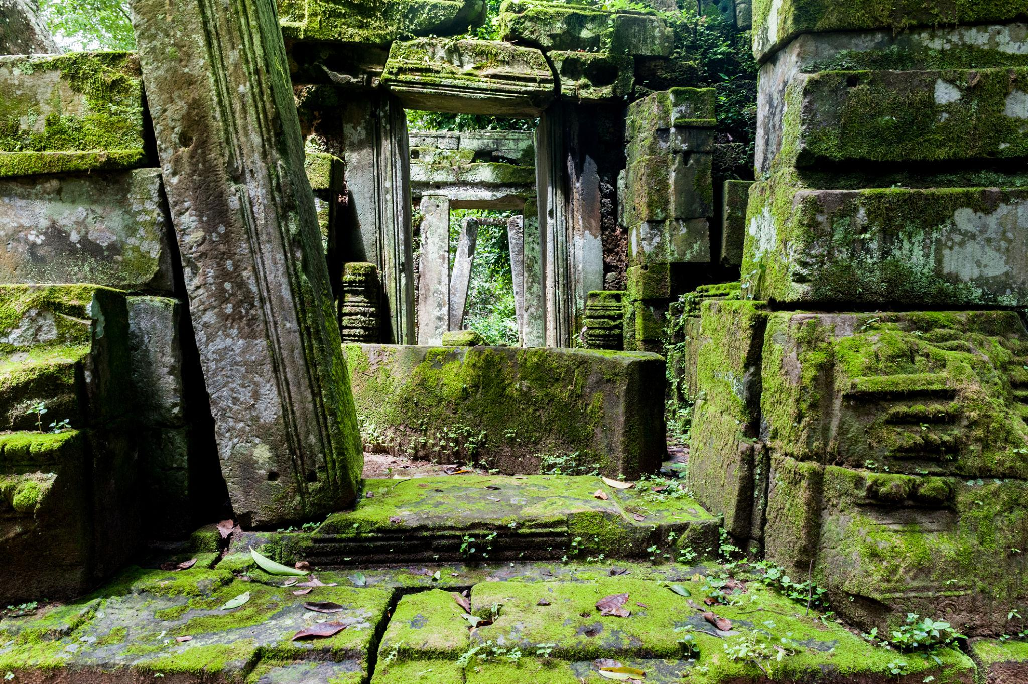 Ta Prohm – The Jungle Temple