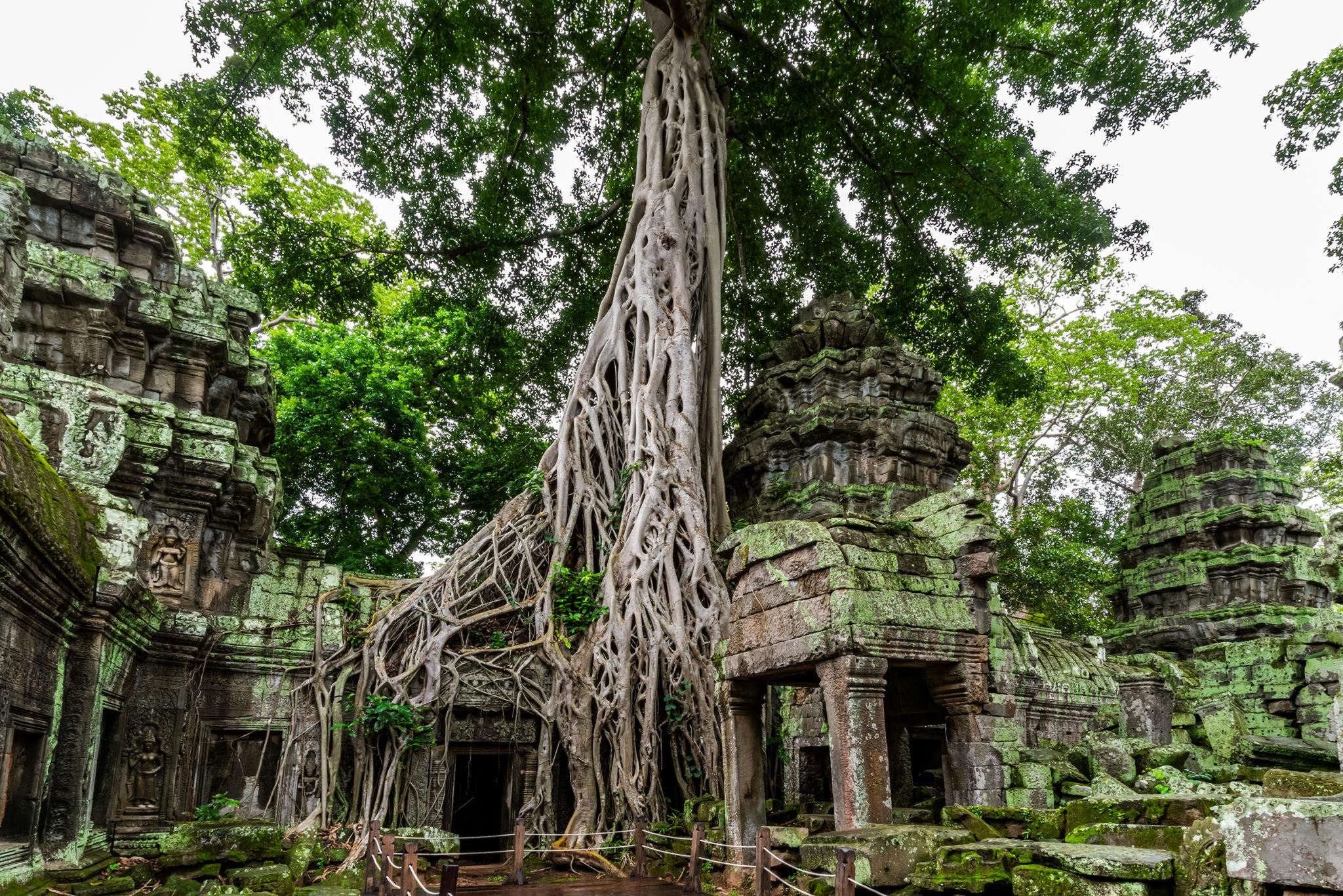 Ta Prohm – The Jungle Temple