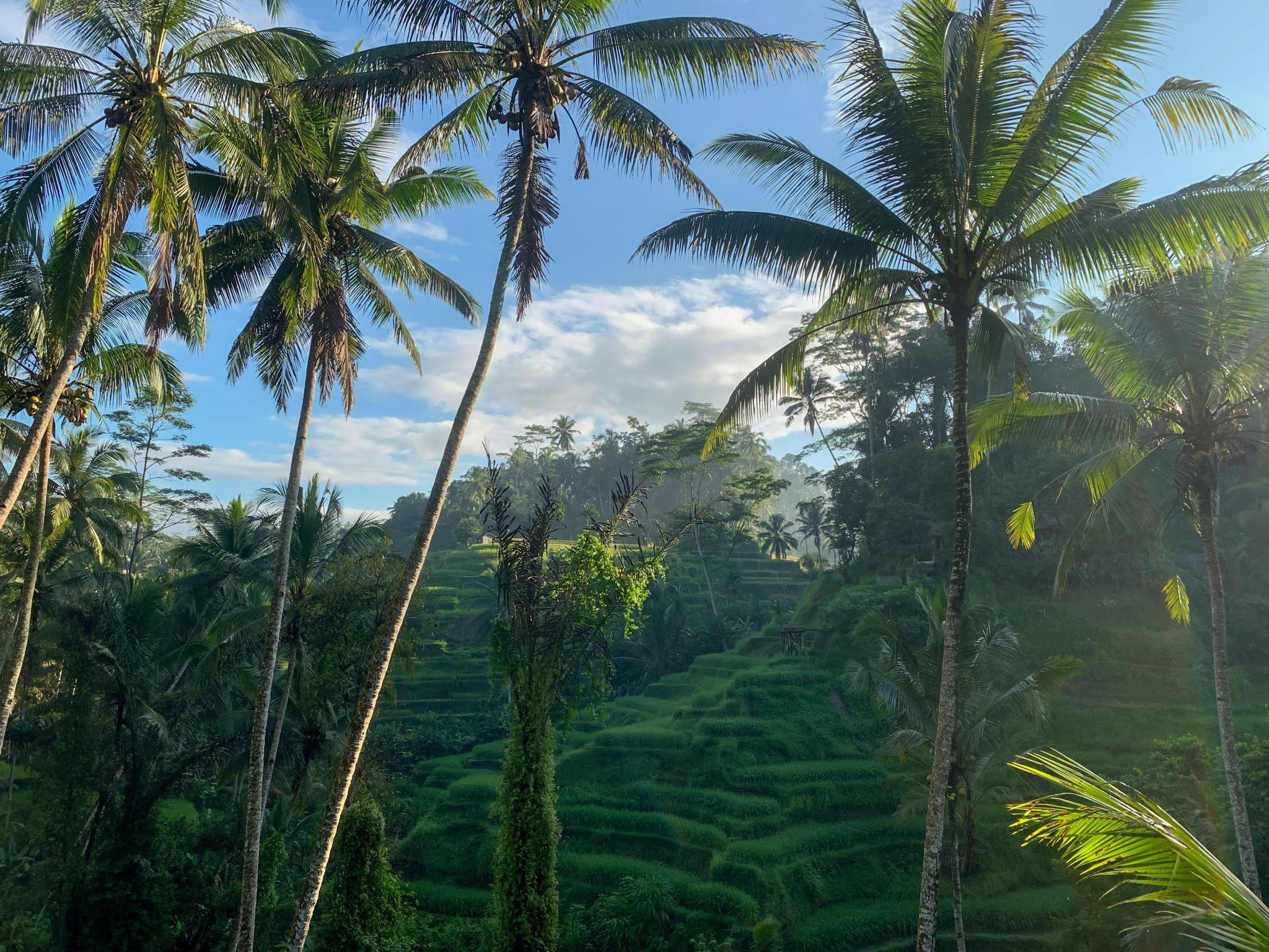  Ubud – Culture, Nature & Peace